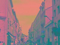 IMGP2743 edited (Medium)